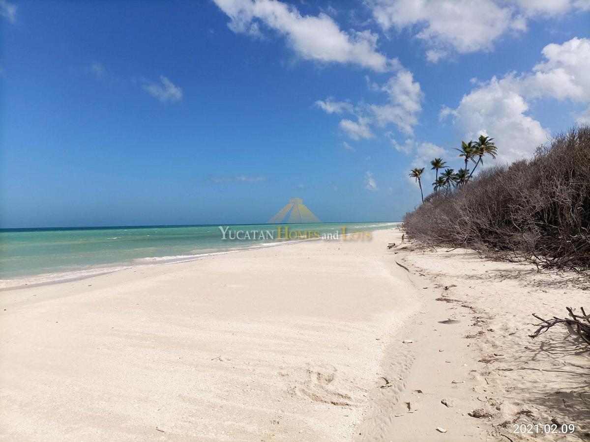 Beachfront Villa In Sisal Yucatan Mexico Exterior foto